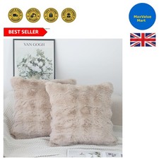 Pack of 2 Decorative Cushion