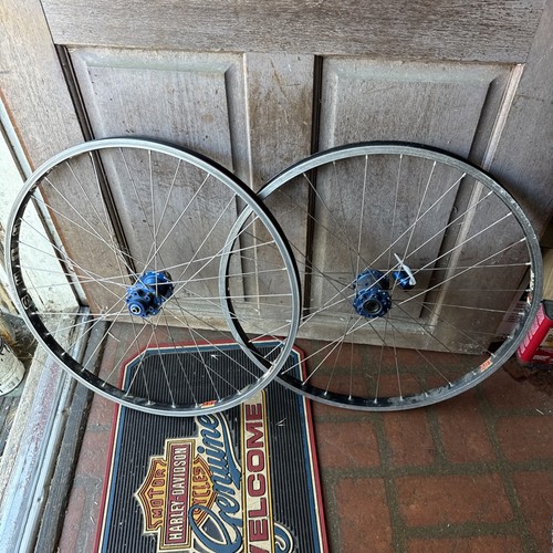 Sun rims rhyno lite - rhyno,