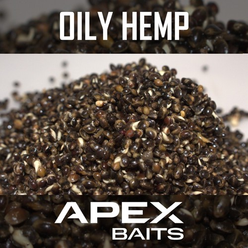 Prepared hemp seed carp tench - prepared,