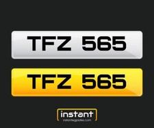 TFZ 565 | NI Dateless