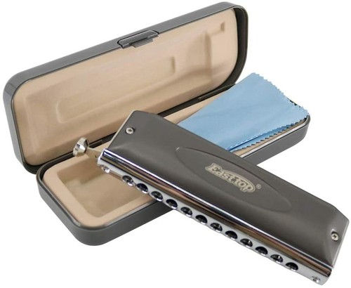 Easttop harmonica 12hole - harmonica,