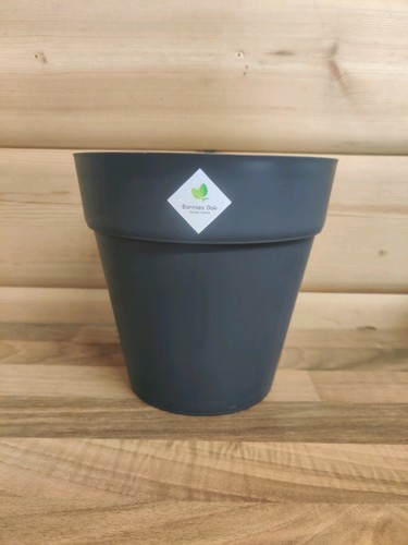 14cm bonnies oak soho - bonnies, black