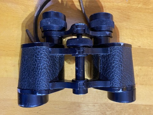 Nice little pair - of, merlex