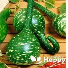 GOURD SPECKLED SWAN - ORNAMENTAL BOTTLE CALABASHES 10 SEEDS  Lagenaria siceraria