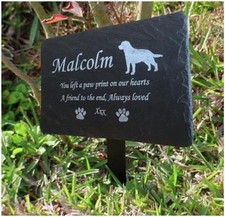 Personalised Engraved Pet