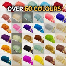 Meter ostrich feather - meter,