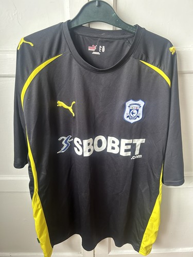 Cardiff city 2010 2011 - city,