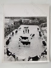 1969 Dairy Show Olympia London
