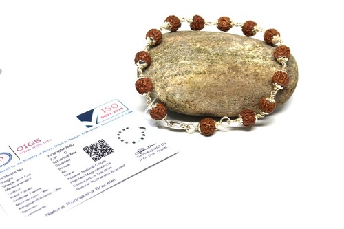 Certified rudraksha - rudraksha, 92.5%