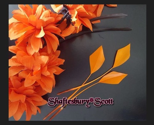 Feathers pieces arrow - 3,