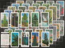 BROOKE BOND (TEA)-FULL SET-