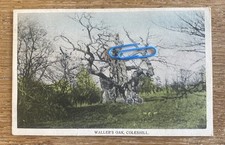 Waller’s Oak, Coleshill
