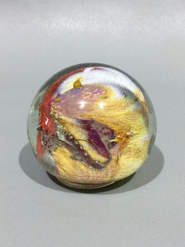 Isle wight studio - studio, glass