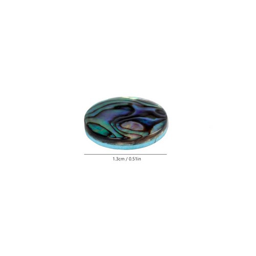 3pcs abalone shell - °3pcs,