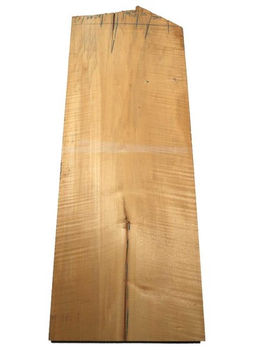 Maple beam wood curly - 1x,