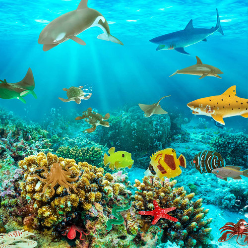 60pcs tropical fish crab - –, &