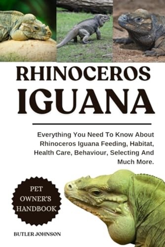 Rhinoceros iguana everything - rhinoceros,