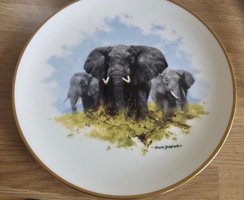 Elephant wedgwood david - elephant,