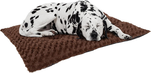 Large dog bed 42x26 with - bed,