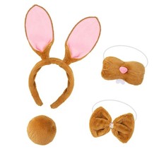 Easter Bunnies Costume Rabbit