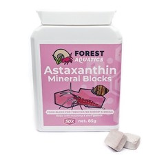 Astaxanthin Calcium Blocks Food for Shrimp Snails Plecos Crabs Nerites Ramshorns