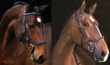 HORSEWARE RAMBO MICKLEM MULTI