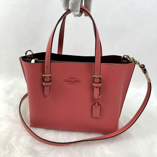 Coach mollie tote bag - bag, 25