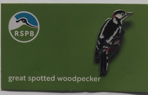 Rspb pin badge - pin, great