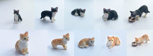 Cat choice colour - of, &