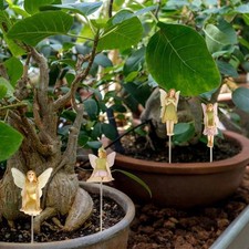 6pcs Mini Garden Fairies