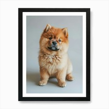 Pomeranian Puppy.Generated AI