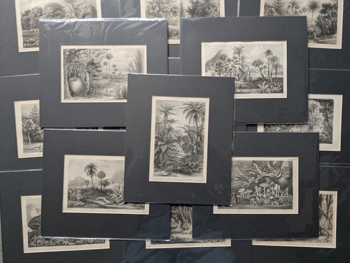 Antique1840 steel engraving - antique1840,