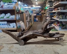 Small Ancient River Wood