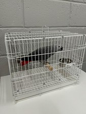 Parrot supplies travel cage - supplies,