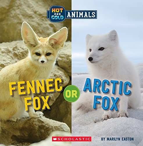 Fennec fox arctic wild - fennec, (wild