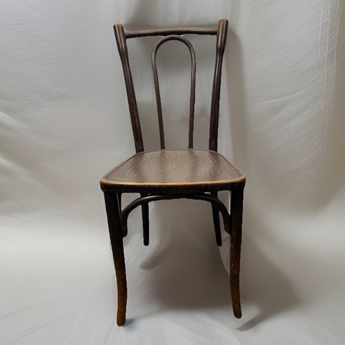 Orig cosmos - (formerly, thonet)