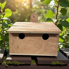 Sparrows, House & Tree Birds