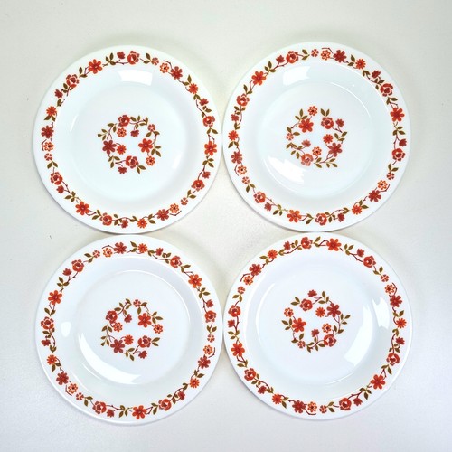 Arcopal scania side plates set - side,