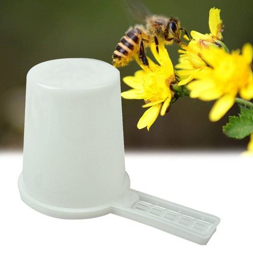 Bee feeders for outside - for,
