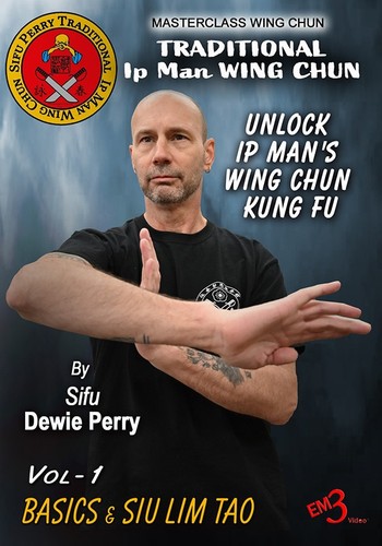Traditional man wing chun - traditional,