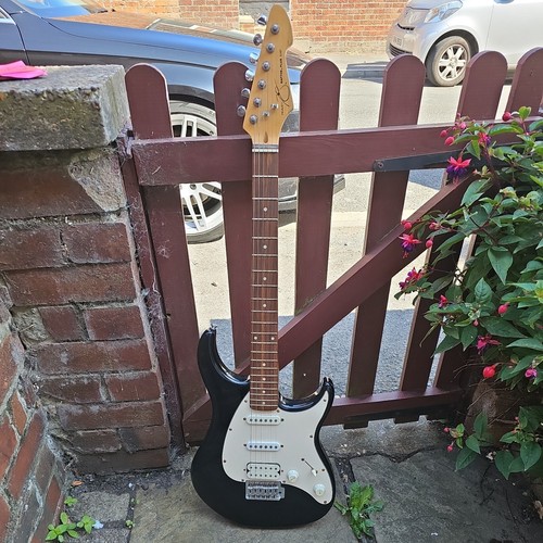 Peavey raptor plus - raptor, exp