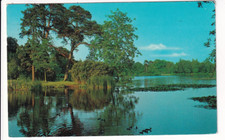 A Postcard of Broadwater