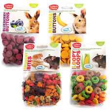 Critter's Choice Small Animal Treats Fruit Veg Rabbit Guinea Pig Hamster Rat