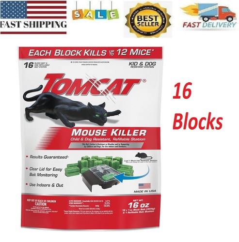 Mouse mice rat - mice, 16