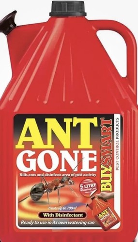 Buysmart indoor outdoor ant - buysmart, &