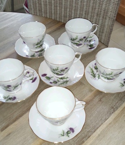 1no duchess china highland - duchess,