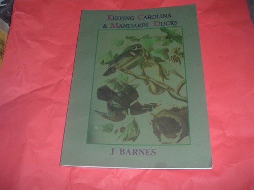 Keeping carolina mandarin - keeping, &