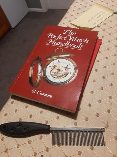 The pocket watch - the,