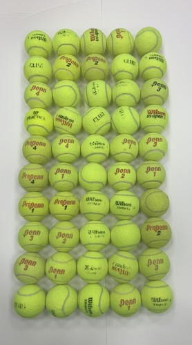 Qty tennis dead balls dogs - qty,