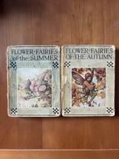 Flower Fairies of The Summer &